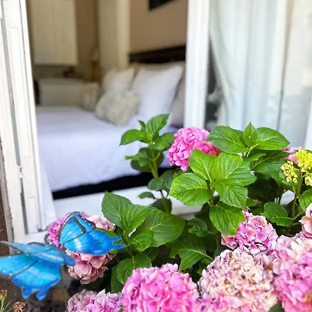 Cozy Near - 30 M² * Yvoir